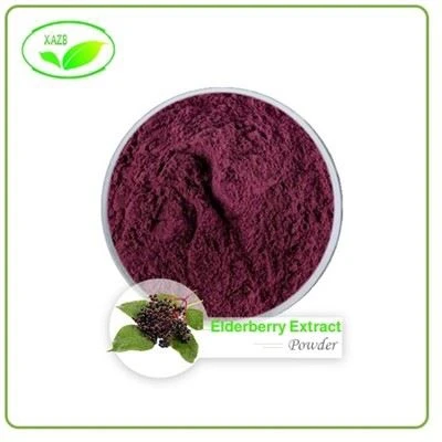 Elderberry Extract Powder